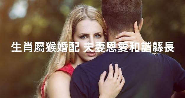 生肖屬猴婚配 夫妻恩愛和諧緜長